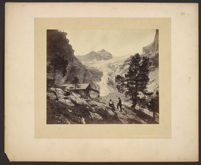 [Vista alpina dal Faulhorn] da Adolphe Braun