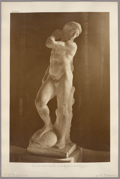 Firenze: l’Apollo incompiuto di Michelangelo alla Galleria degli Uffizi da Adolphe Braun