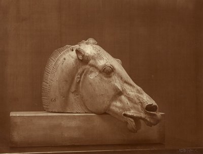 [Testa di cavallo proveniente dal frontone del Partenone, British Museum] da Adolphe Braun