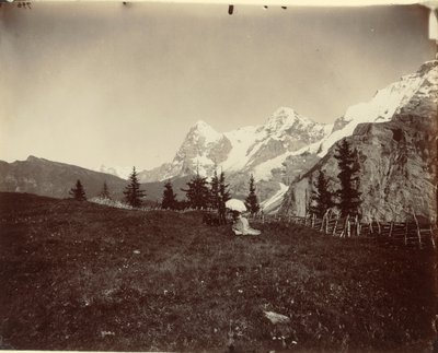 Paesaggio, Svizzera da Adolphe Braun
