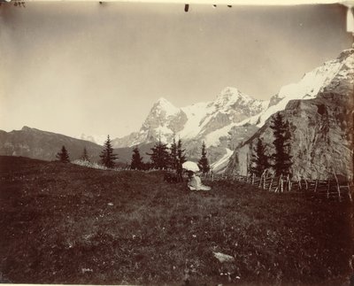Paesaggio, Svizzera, c. 1860 da Adolphe Braun