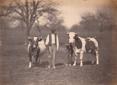 Paesaggio, c. 1864 (foto) da Adolphe Braun