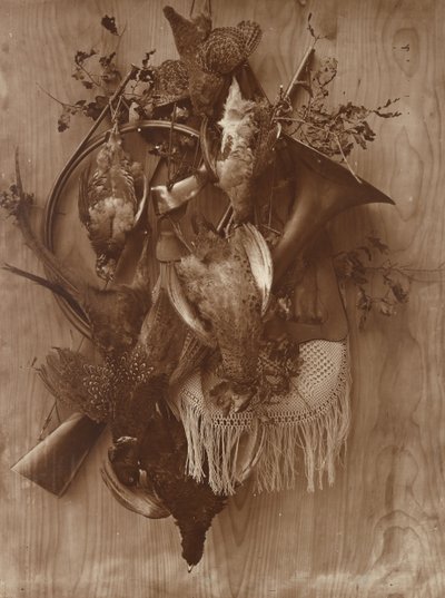 Fagiano e gallo cedrone, ca. 1865 da Adolphe Braun