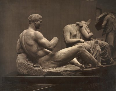 Sculture del Partenone, British Museum, c1870s da Adolphe Braun