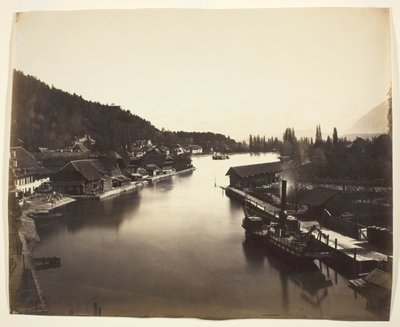 Vaporetto nel lago di Thun, Svizzera da Adolphe Braun