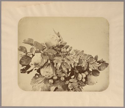 Natura morta con mele cotogne e bacche da Adolphe Braun