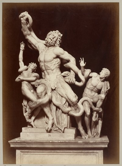 Il Laocoonte nei Musei Vaticani da Adolphe Braun