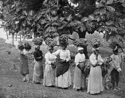 Portatori di banane, Giamaica, c.1905 da Adolphe Duperly and Son