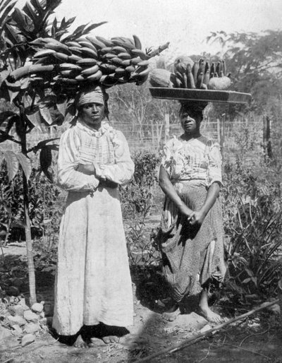 Venditori di frutta, Giamaica, c1905 da Adolphe Duperly and Son