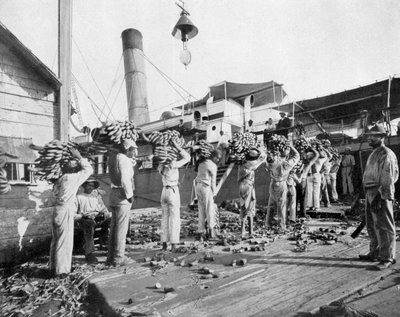 Caricamento delle banane, Port Antonio, Giamaica, c1905 da Adolphe Duperly and Son