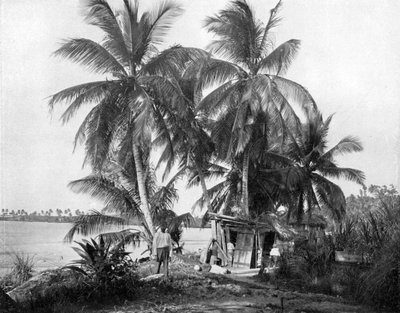 Sulla strada per Blue Hole, Port Antonio, Giamaica, c. 1905 da Adolphe Duperly and Son