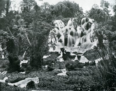 Cascate del Roaring River, Giamaica, c1905 da Adolphe Duperly and Son