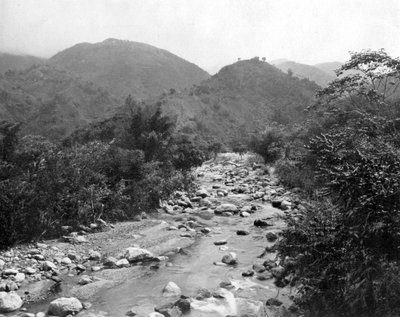 Il Fiume Wag, Castleton, Giamaica, c1905 da Adolphe Duperly and Son