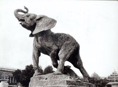 Giovane elefante catturato in una trappola (1878) di Emmanuel Fremiet (1824-1910) davanti al Palazzo del Trocadero, costruito per l