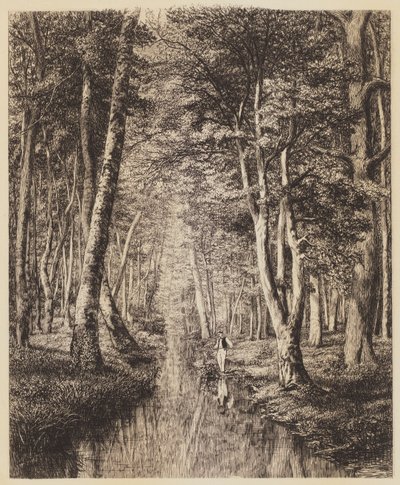 Fiume nel Bosco da Adolphe Martial Potemont