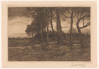 Sera da Adolphe P.H J. van Weezel Errens (signed by artist)