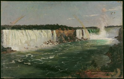 Cascate del Niagara in estate da Adolphe Vogt