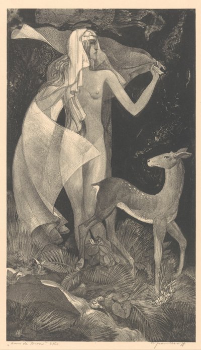 Alla fonte da Adriaan J. van 