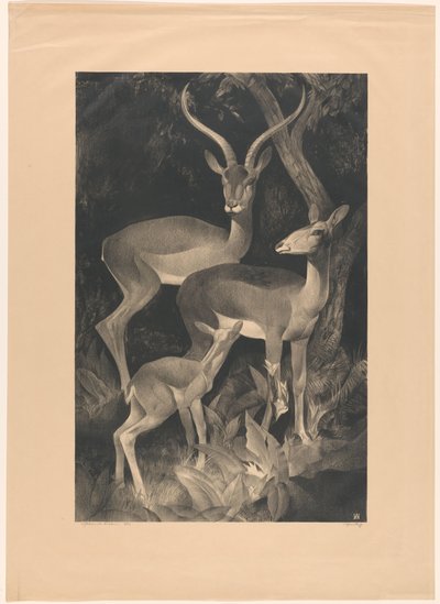 Capre africane da Adriaan J. van 