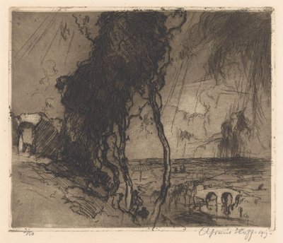 Paesaggio con cielo temporalesco da Adriaan J. van 
