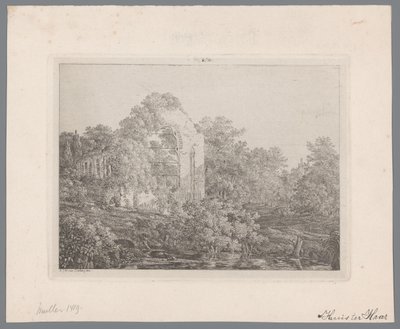 Veduta delle rovine del Castello de Haar da Adriaan Jacob Willem van Dielen