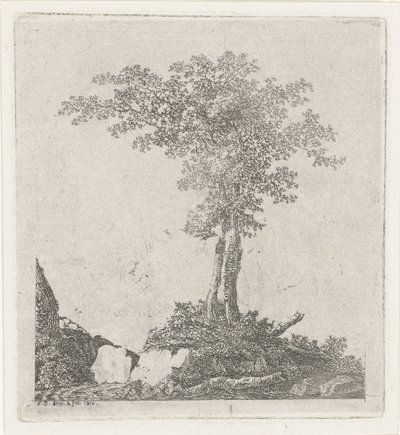 Due alberi da Adriaan Jacob Willem van Dielen