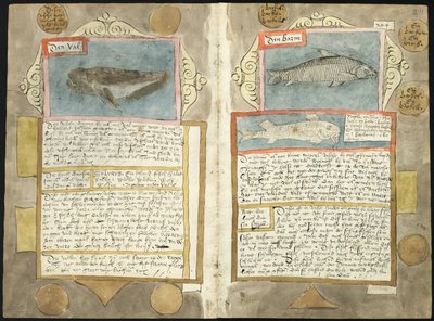 Visboeck di Adriaen Coenen - KB 78 E 54 - folios 210v (sinistra) e 211r (destra) da Adriaen Coenen