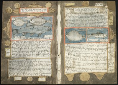 Visboeck di Adriaen Coenen - KB 78 E 54 - folios 339v (sinistra) e 340r (destra) da Adriaen Coenen