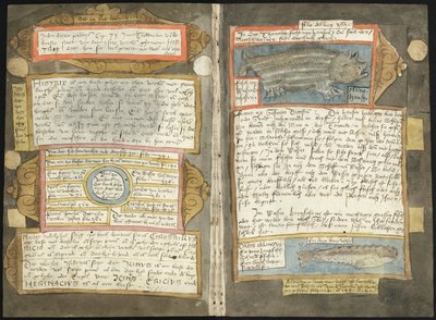 Visboeck di Adriaen Coenen - KB 78 E 54 - folios 370v (sinistra) e 371r (destra) da Adriaen Coenen