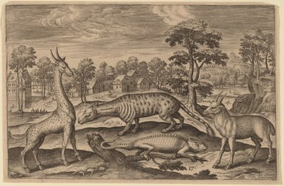 Una giraffa, un camaleonte, una civetta e un