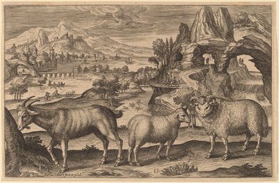 Una capra, una pecora e un ariete da Adriaen Collaert