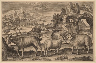 Una capra, una pecora e un montone da Adriaen Collaert
