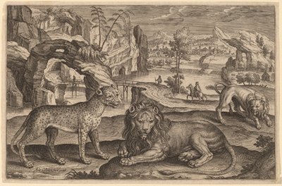Un Leopardo e Due Leoni da Adriaen Collaert