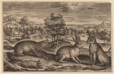 Una talpa, un tasso, una lepre cornuta e una volpe da Adriaen Collaert