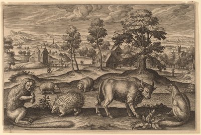Una scimmia, un istrice, due ricci, un bufalo e una volpe da Adriaen Collaert