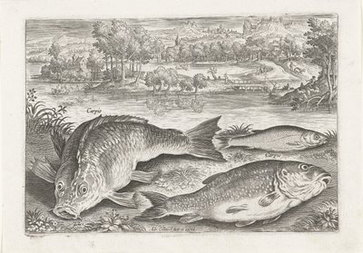 Tre carpe su una riva (Pesci) (Piscivm vivae icones) da Adriaen Collaert