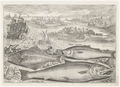 Tre pesci sulla spiaggia da Adriaen Collaert