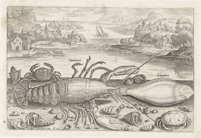 Un pesce e alcuni crostacei sulla spiaggia (serie Pesci) da Adriaen Collaert