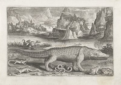 Alcuni rettili e anfibi su una riva Pesci (serie) Piscivm vivae icones (serie) da Adriaen Collaert