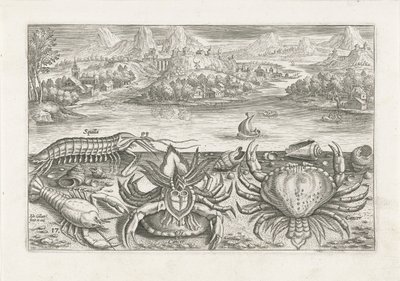 Alcuni crostacei sulla spiaggia (Vissen, Piscivm vivae icones) da Adriaen Collaert