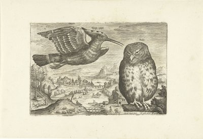 Alcuni uccelli in un paesaggio da Adriaen Collaert