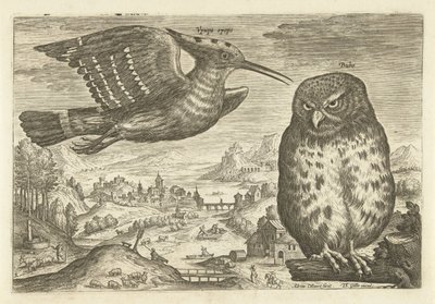 Alcuni uccelli in un paesaggio da Adriaen Collaert