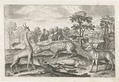 Animali esotici da Adriaen Collaert