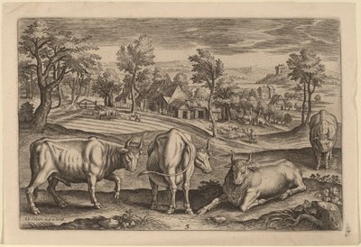 Quattro tori da Adriaen Collaert