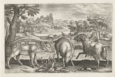 Capra e maiali da Adriaen Collaert