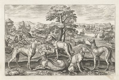 Cani da caccia da Adriaen Collaert