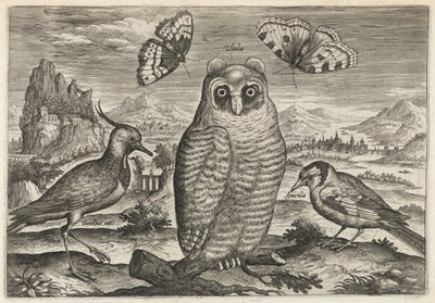  da Adriaen Collaert
