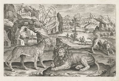 Leoni e leopardo da Adriaen Collaert