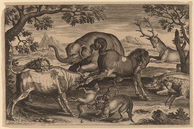 Leone, Toro, Volpe, Lupo, Cane, Cinghiale, Capra, Cavallo, Elefante e Cervo da Adriaen Collaert