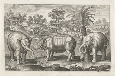 Elefanti e rinoceronte da Adriaen Collaert
